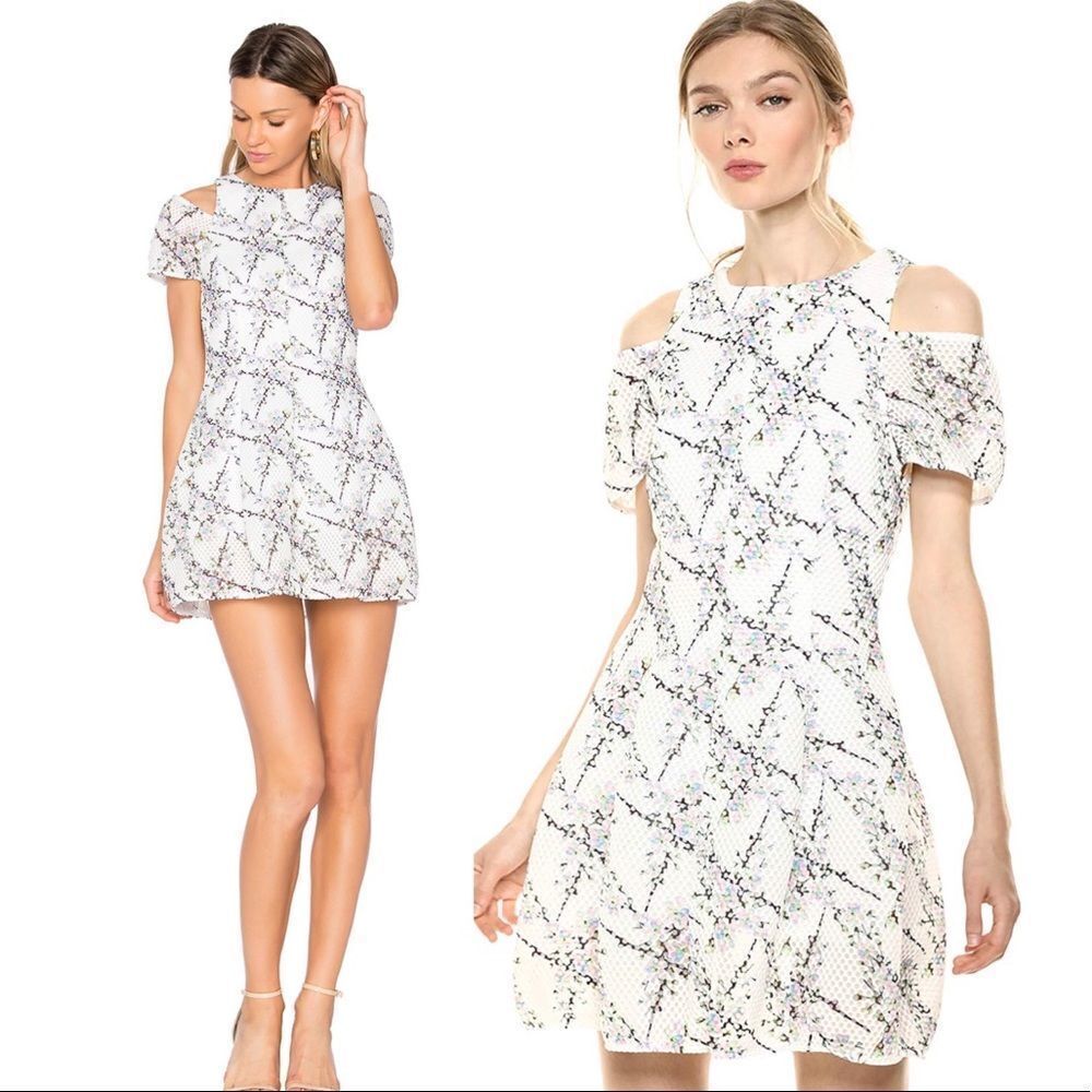 Elliatt euphoria cold shoulder a-line dress BNWT